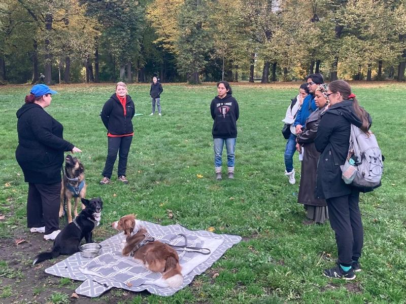 Hundehaltungokt20253