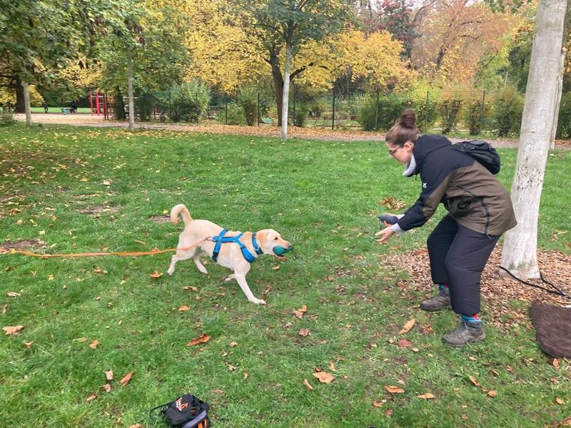 Hundehaltungokt20255