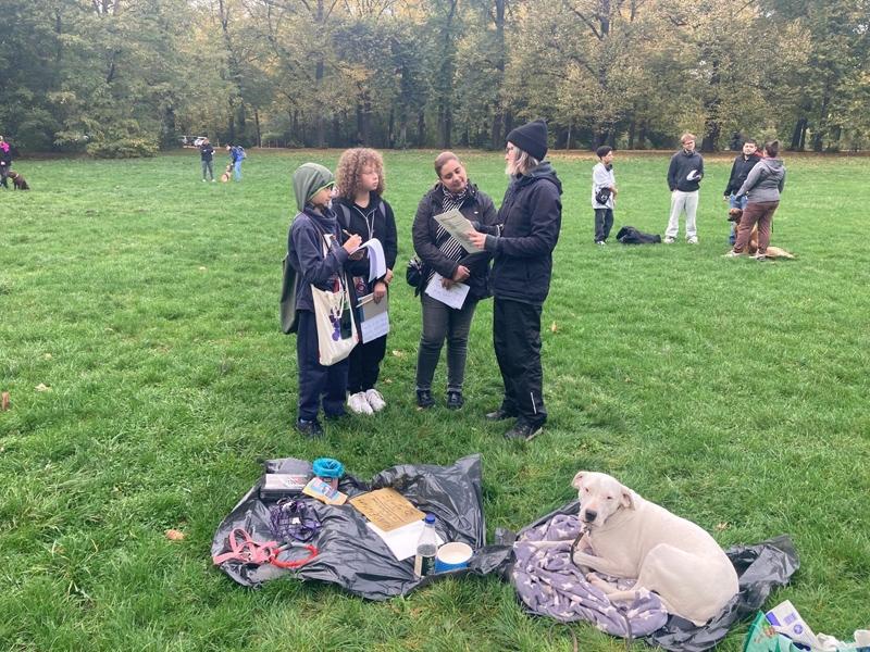 Hundehaltungokt20256