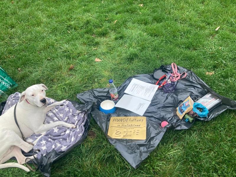 Hundehaltungokt20257